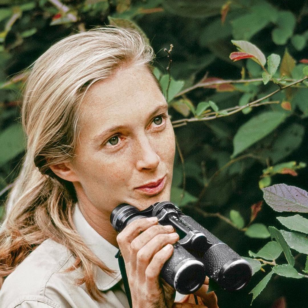 Happy International Women's day