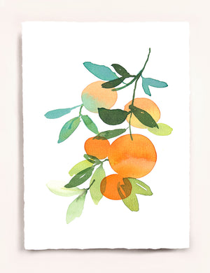 Orange Branch 2
