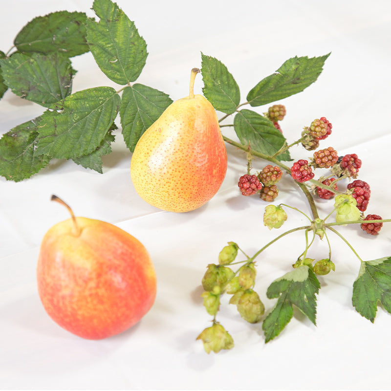 Autumn wedding stationery inspiration