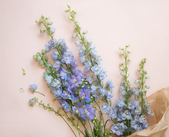 spring wedding stationery